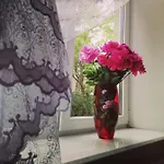 айстра * Львов