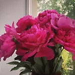 айстра Львов